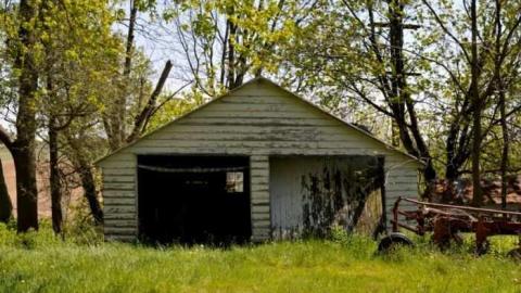 4724 - MSP_6764a.jpg