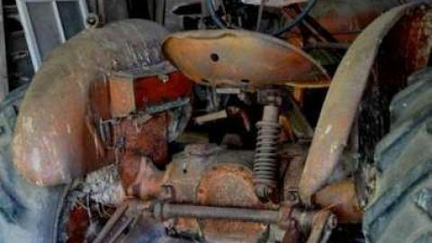 4724 - MSP_6768fb.jpg