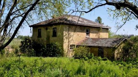 4724 - MSP_6773fb.jpg