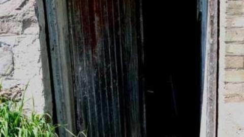 4724 - MSP_6784fb.jpg