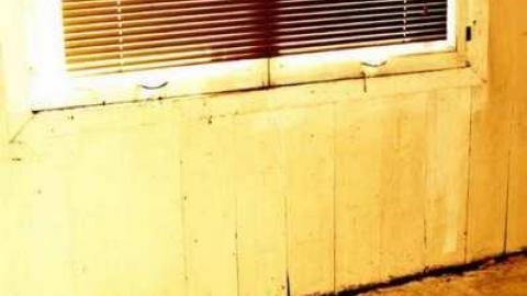 4437 - MSP_5118afb.jpg