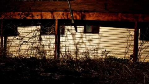 4437 - MSP_5104afb.jpg