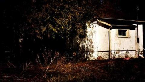 4437 - MSP_5105afb.jpg