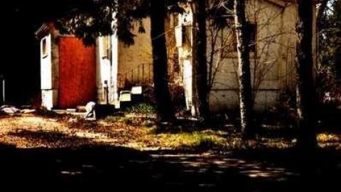 4437 - MSP_5106afb.jpg