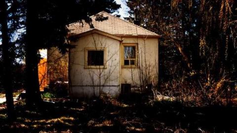 4437 - MSP_5109afb.jpg