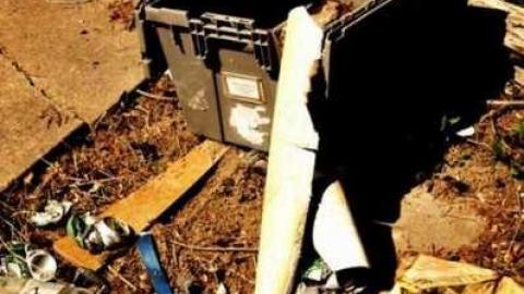 4437 - MSP_5110afb.jpg