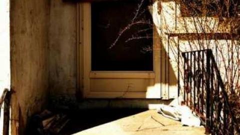 4437 - MSP_5112afb.jpg