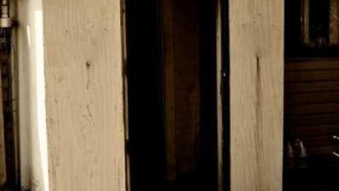 4437 - MSP_5114afb.jpg