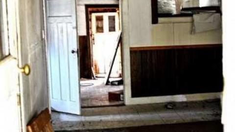 4437 - MSP_5115afb.jpg