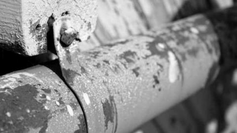 Sudbury Cedar Hut photo 3