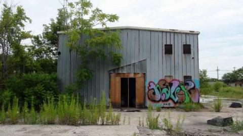 Blazing New Paths - DSC02392.jpg