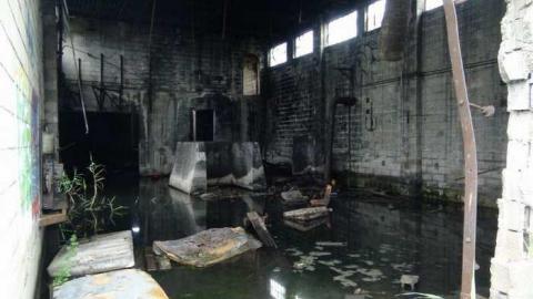 Blazing New Paths - DSC02393.jpg