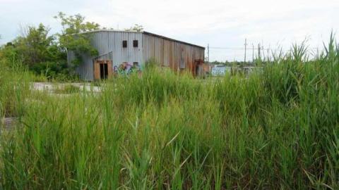 Blazing New Paths - DSC02395.jpg