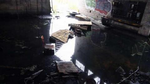 Blazing New Paths - DSC02397.jpg