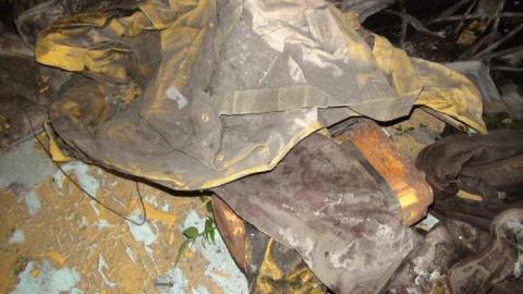 Blazing New Paths - DSC02414.jpg