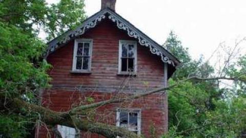 Kirkfield Road house - DSC_6854.jpg