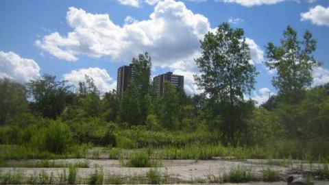 Imtrex - Imtrex (2).jpg