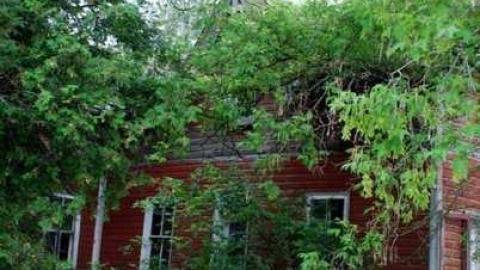 Kirkfield Road house - DSC_6861.jpg