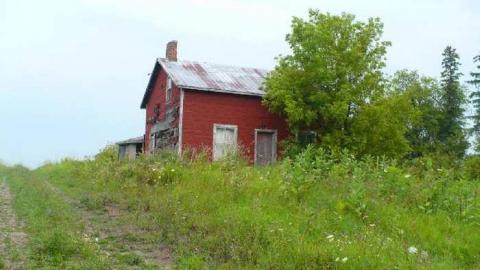 August 13 - Ruby-Red56.jpg