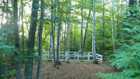 Barbers cut short - Barber-Pioneers4.jpg