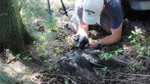 August 2013 - Cars-With-a-Chance-of-Carcass17.jpg