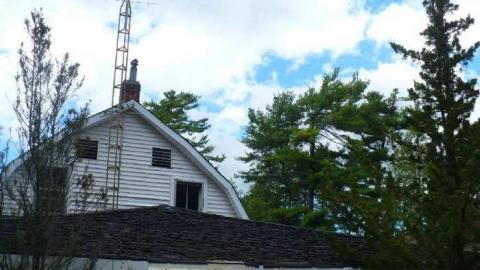 Little Lake - P1120777.jpg