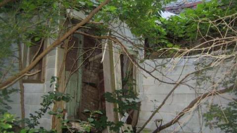 The Goat - Huttonville River Rd (7).jpg