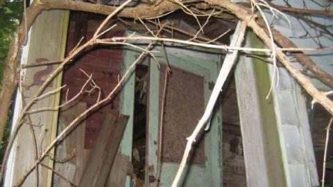 The Goat - Huttonville River Rd (8).jpg