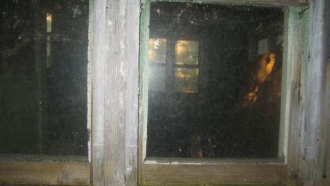 The Goat - Huttonville River Rd (9).jpg