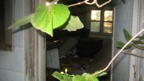 The Goat - Huttonville River Rd (10).jpg