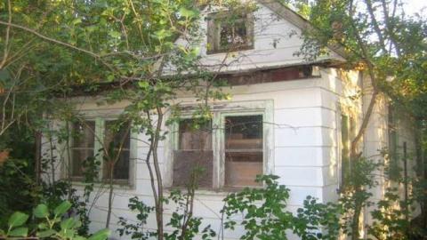 The Goat - Huttonville River Rd (12).jpg