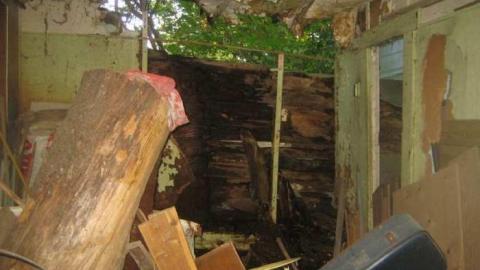 The Goat - Huttonville River Rd (15).jpg