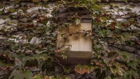 Trinity Bunker - Toronto, Ontario