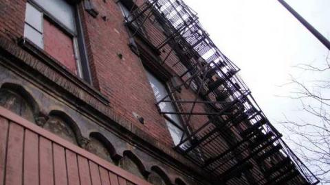 Variety In Buffalo - Variety-In-Buffalo7.jpg