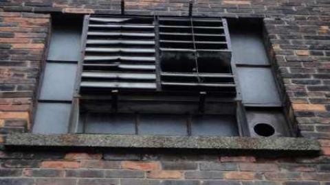 Variety In Buffalo - Variety-In-Buffalo33.jpg