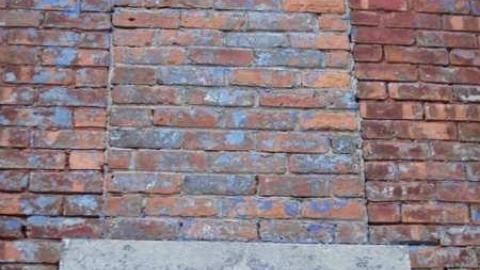 Variety In Buffalo - Variety-In-Buffalo9.jpg