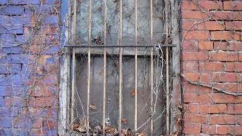 Variety In Buffalo - Variety-In-Buffalo10.jpg