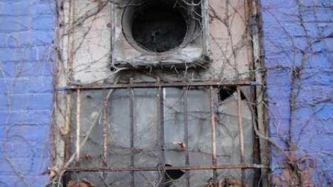 Variety In Buffalo photo 2