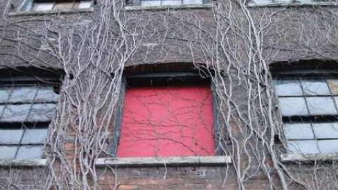 Variety In Buffalo - Variety-In-Buffalo12.jpg