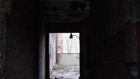 Variety In Buffalo - Variety-In-Buffalo14.jpg