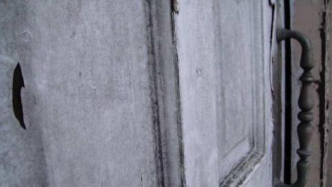 Variety In Buffalo - Variety-In-Buffalo16.jpg