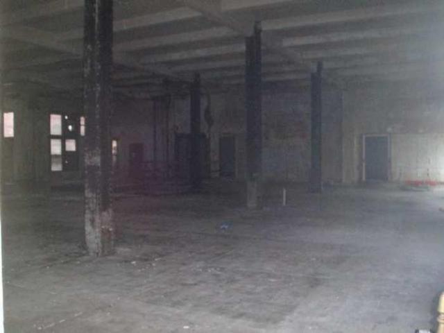 Variety In Buffalo photo 3