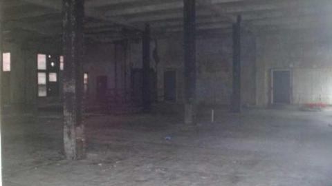 Variety In Buffalo - Variety-In-Buffalo18.jpg