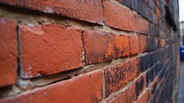 Variety In Buffalo photo 4