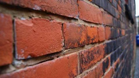 Variety In Buffalo - Variety-In-Buffalo22.jpg