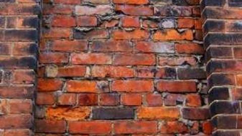 Variety In Buffalo - Variety-In-Buffalo23.jpg