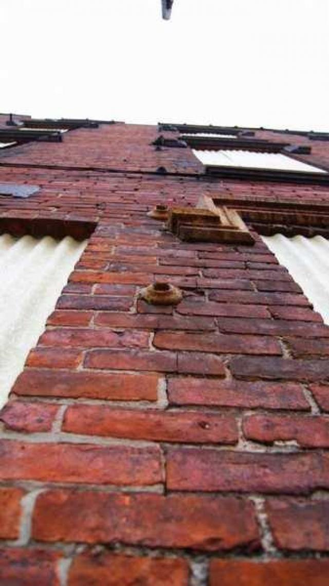 Variety In Buffalo photo 5