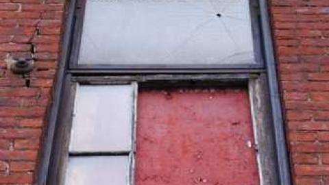 Variety In Buffalo - Variety-In-Buffalo25.jpg