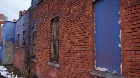 Variety In Buffalo - Variety-In-Buffalo28.jpg