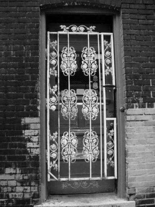 Variety In Buffalo photo 3